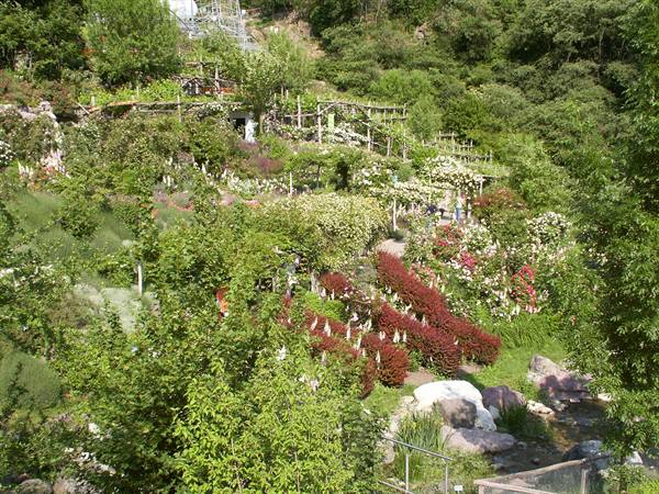 Merano 093 - Gardens of Trauttmansdorff Castle