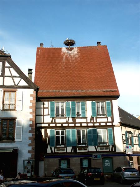 086 - Ribeauvillé