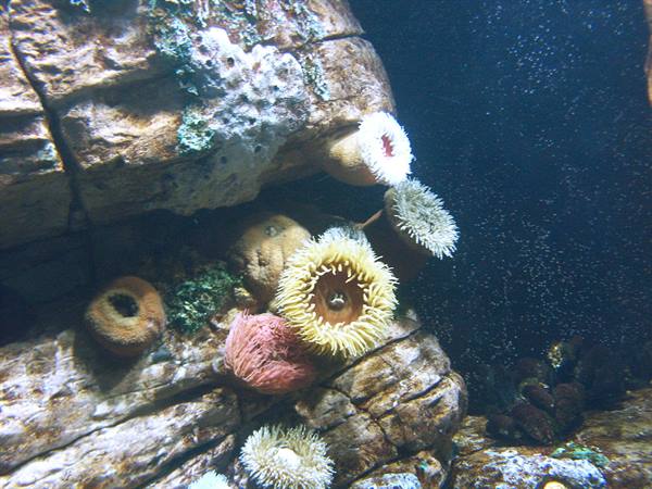 01 Lisbon - 06.35 Parque das Nações - Oceanarium