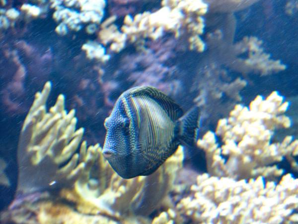 01 Lisbon - 06.45 Parque das Nações - Oceanarium