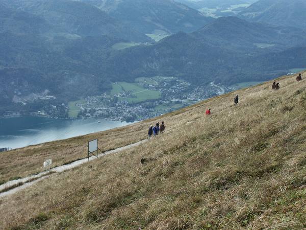 Salzkammergut 033 - St. Wolfgang - SchafbergBahn train