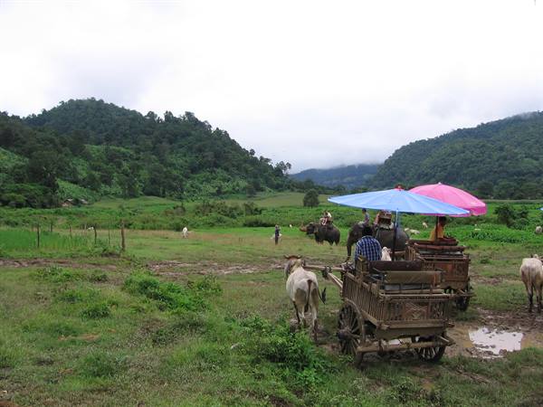 Chiang Mai Maetaman