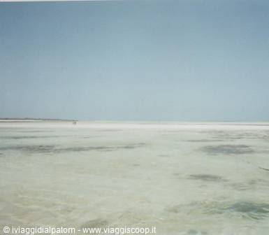 Malindi: the marine safari