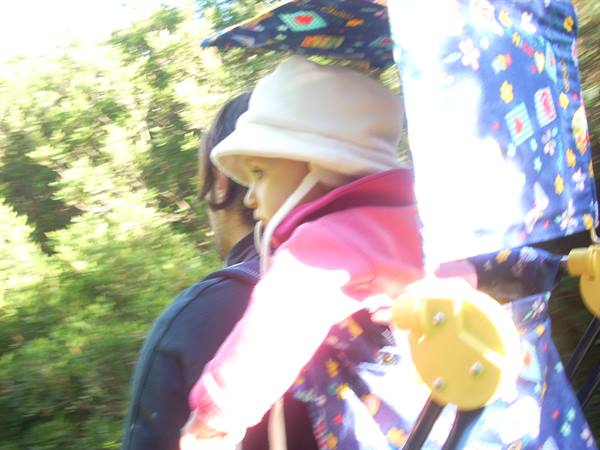 Along the paths of spider nests