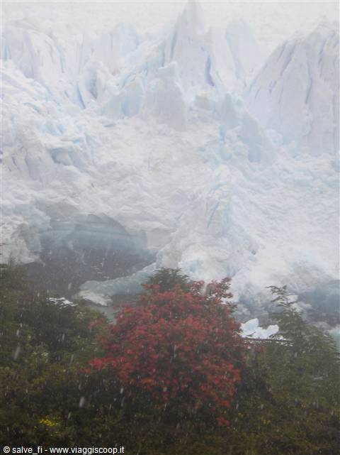 Perito Moreno under the snow