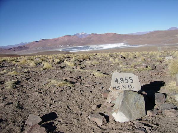 at 4,855 m ... view over the Hedionda lagoon