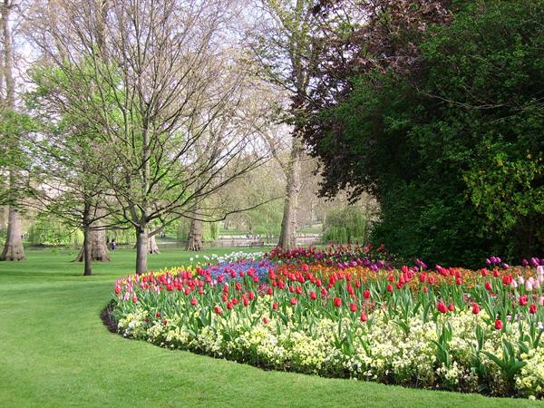 St James Park