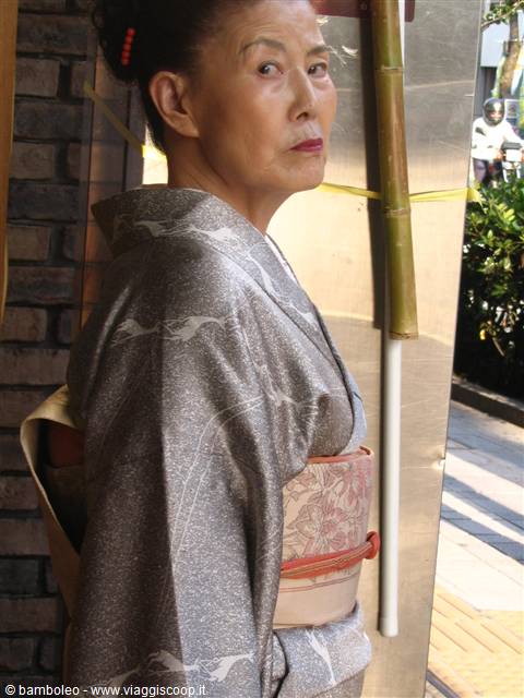 Geisha in Himeji