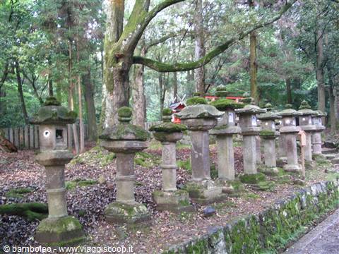 Lanterns in Nara