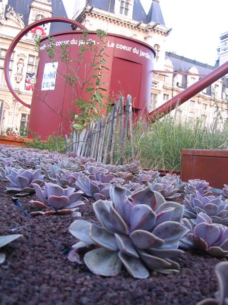 Succulents in front of a giant red watering can at the Hôtel de Ville