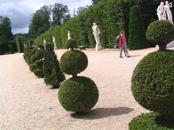 Clipped boxwood spheres line the gravel path of Versailles Gardens among white statues