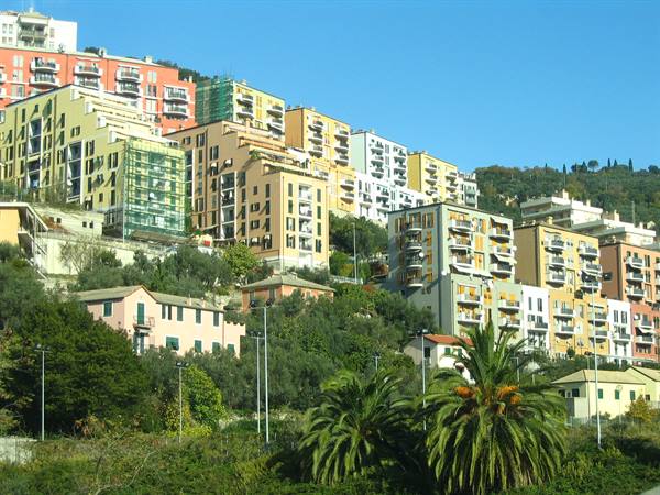 Palms in front of colorful apartment buildings on a hillside under blue sky
