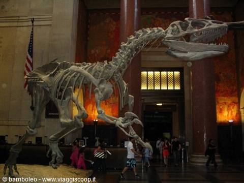 Dinosaur skeleton in the grand hall of Chicago's Field Museum