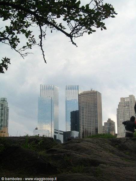 Glass skyscrapers behind rocks and tree branches in Central Park, New York