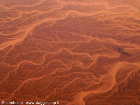 From the plane, branching wadis carved into red desert sand