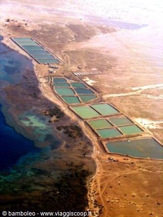 Blue salt evaporation ponds line the arid coast from above