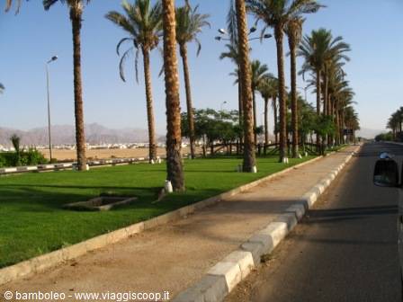 The avenues of Sharm