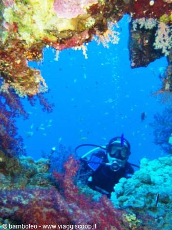 Scuba diver in mask and regulator among colorful corals and small fish