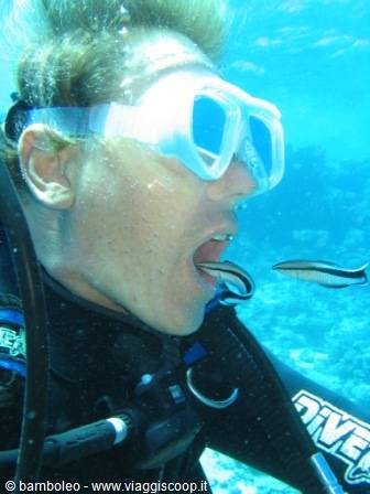 Cleaner fish......