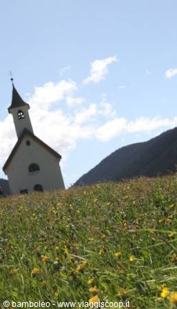 Small white church with bell tower above a flowering meadow, mountains and blue sky