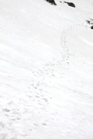 Footprints climbing a steep snowy slope, a few dark rocks emerging