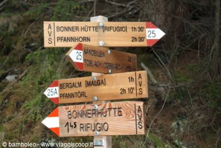Wooden signposts pointing to Bonner Hütte refuge and Pfannhorn, alpine forest