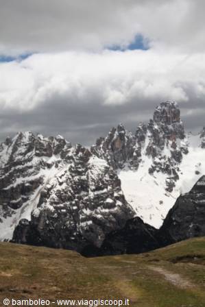 Snow-capped Dolomite peaks under clouds, grassy trail in foreground