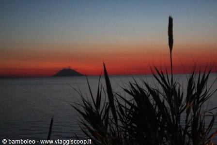 Stromboli silhouette over the sea at dusk, dark reeds backlit