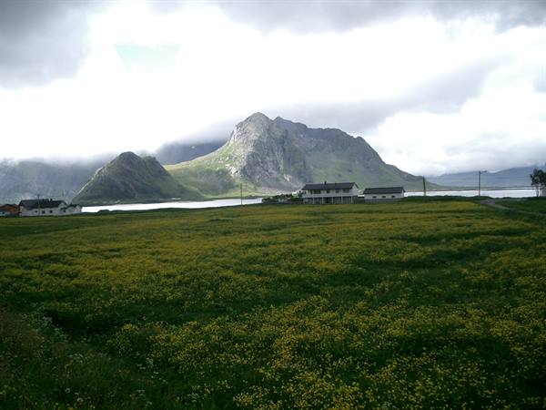 panorama
