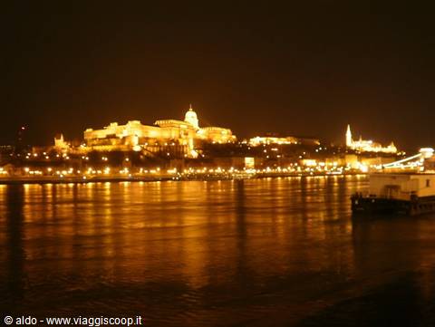 Elizabeth Bridge by night
