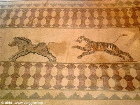 Kato Paphos archaeological site-mosaics