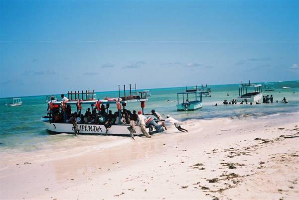 Blue Safari