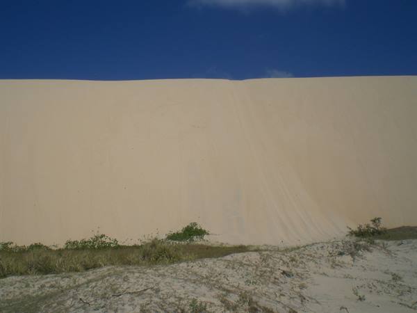 Wall of the white dune
