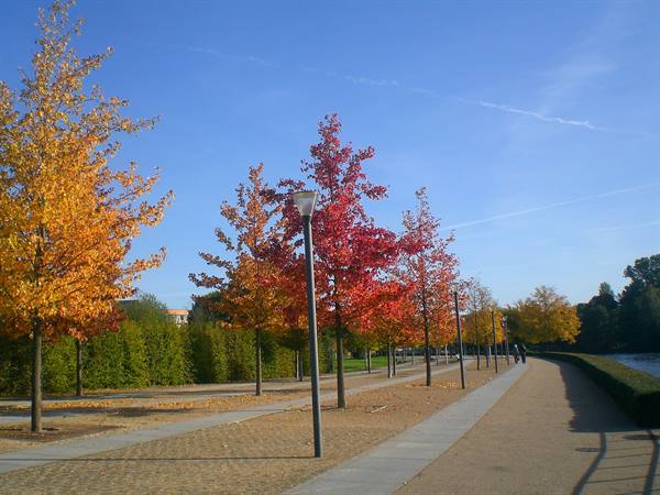 Autumn on the Spree