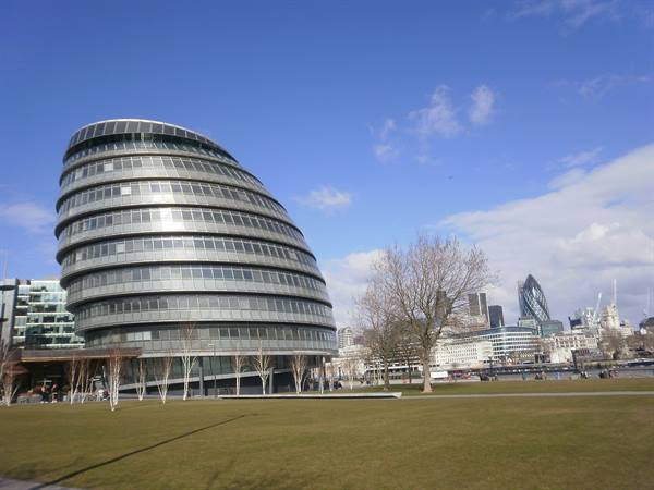 The egg