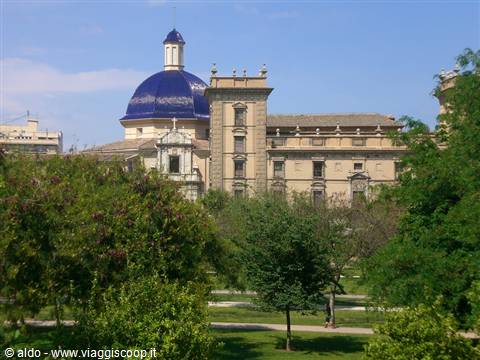 Museum of Fine Arts