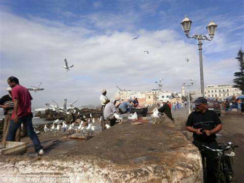 Fish market