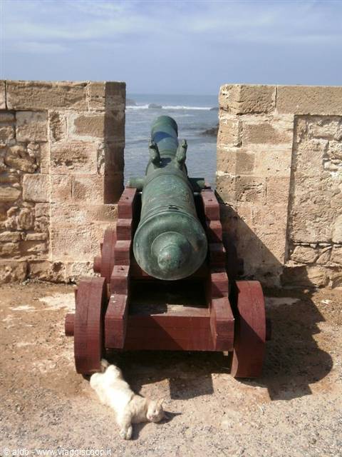 sweet rest in the shade of the cannon