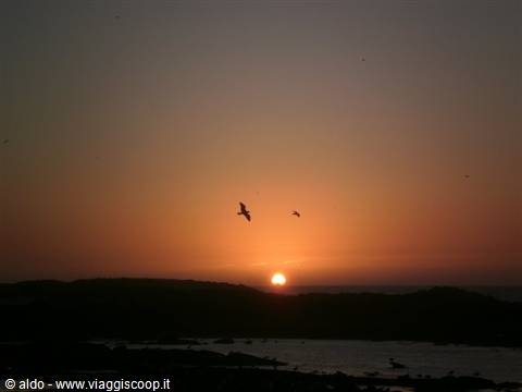 sunset in Essaouira