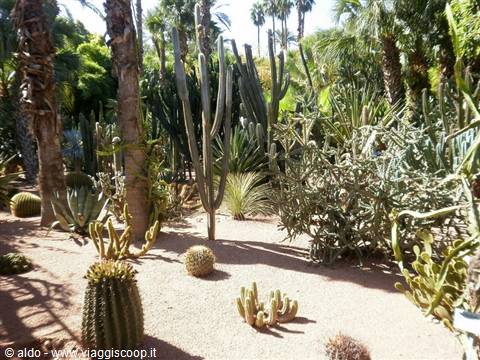 majorelle gardens