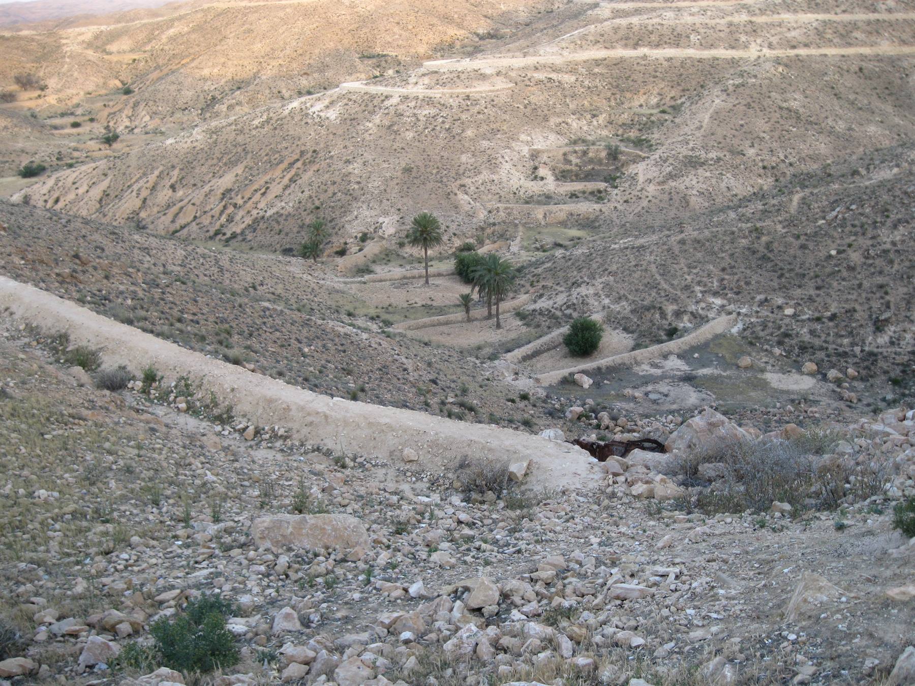 Dirt path winding through dry rocky hills, a few palms in the valley