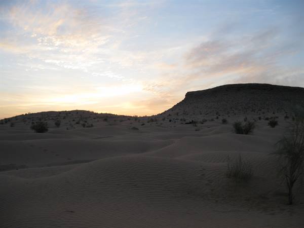 Sand dunes and shrubs beneath a rocky hill, peach dawn sky