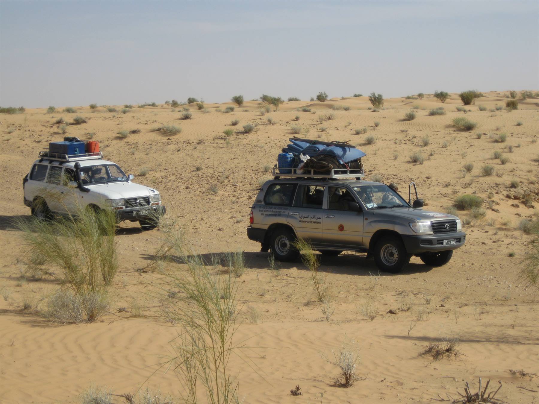 Two Toyota four-wheel drives loaded with luggage drive through sandy desert shrubs
