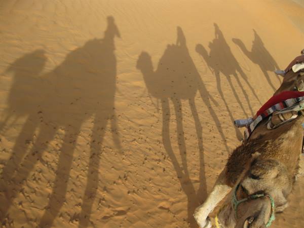 Camel shadows stretch across the sand of the caravan