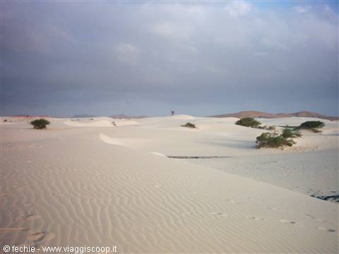 Viana Desert