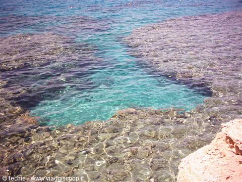 The coral reef