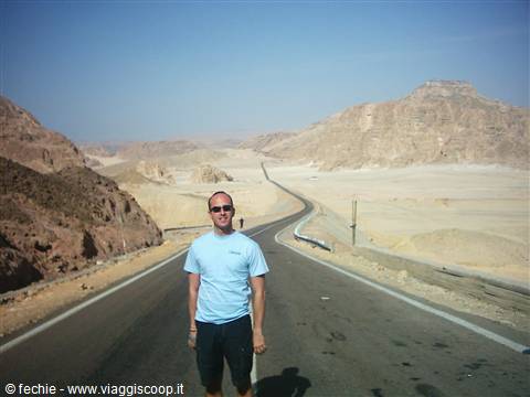 The Sinai desert