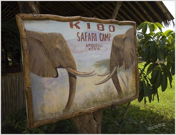 Amboseli - the Kibo Safari Camp