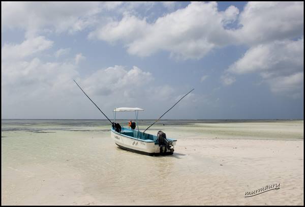 Watamu - Sardinia 2 bis