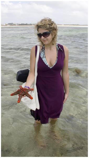 Wonder of the sea at Watamu